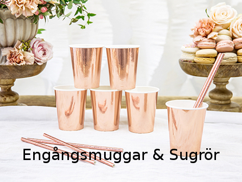 Engångsmuggar och sugrör för picknick och fest